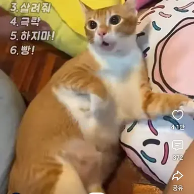 Profile image of 헬여우