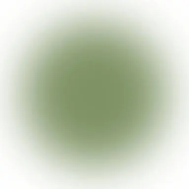 Profile image of 木本先生