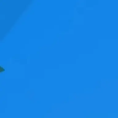 Profile image of 여우