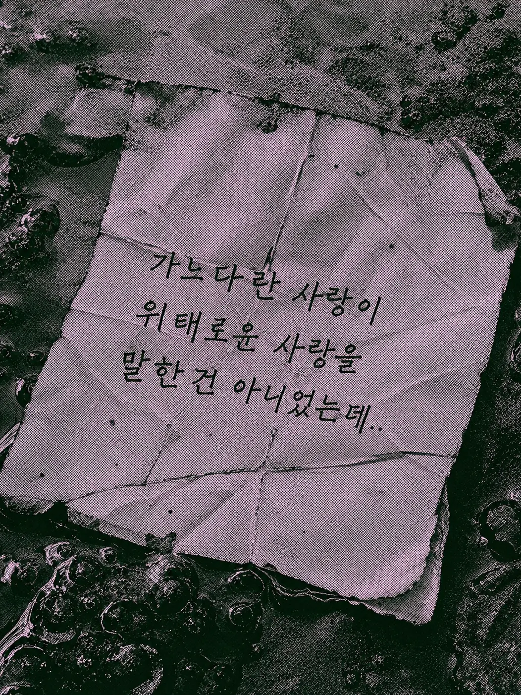 Hongok의 오독(誤讀)
