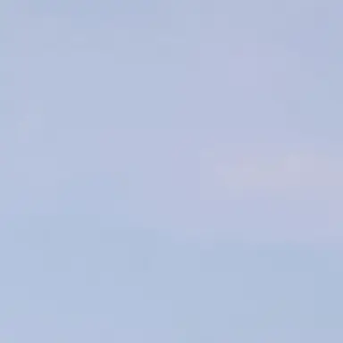 Profile image of 베일리