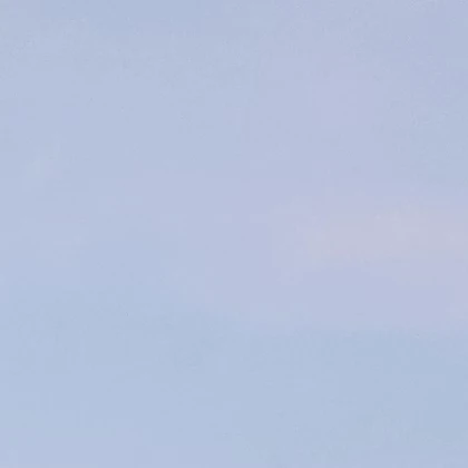 베일리