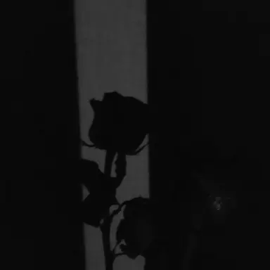 Profile image of 오다은