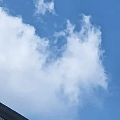 Profile image of 뀨