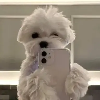 Profile image of 잠뜰