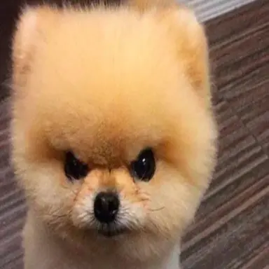 Profile image of 덕개