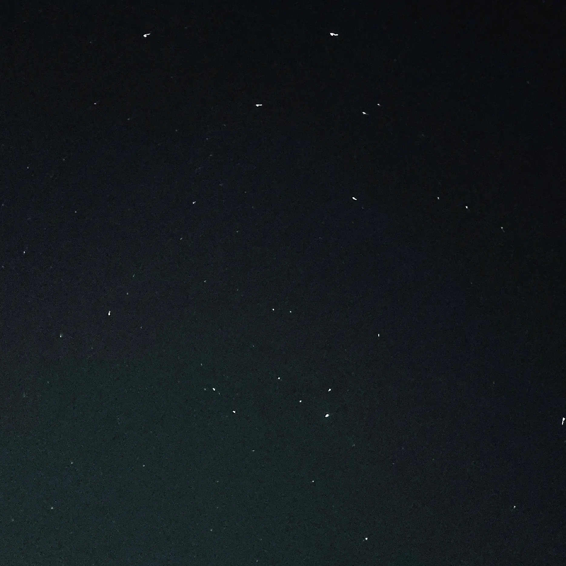 GrayChild7574의 당신은 수경위입니다🐰