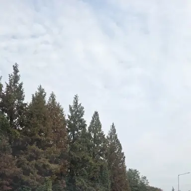 Profile image of 공룡