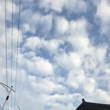 Profile image of 잠뜰