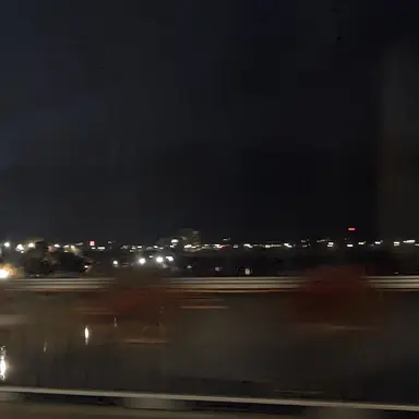 Profile image of 여우