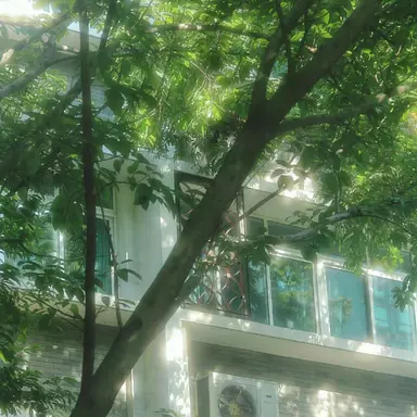 Profile image of 정 공룡