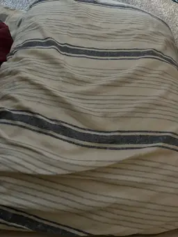 Profile image of Wonder Pillow