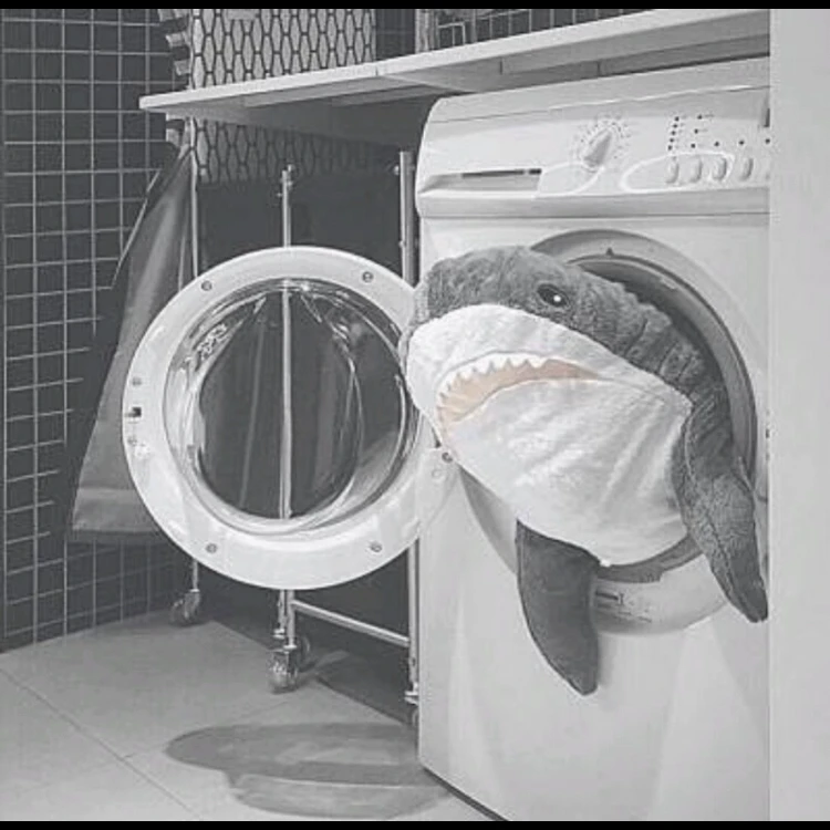 シャーク・ガロア