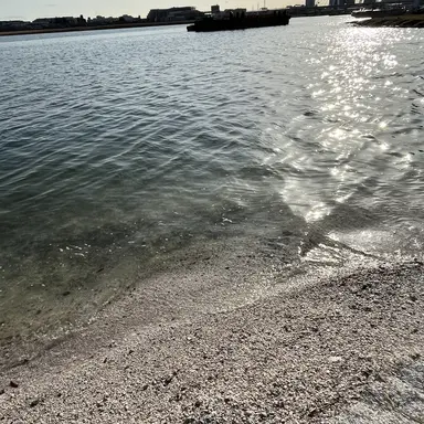 Profile image of 朝日