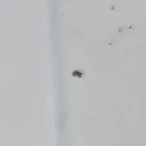 Profile image of ...