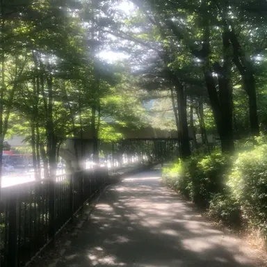 Profile image of 공룡