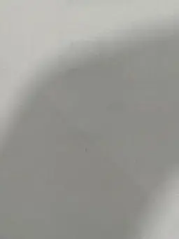 BoringSnore4299의 日帝に懐いた吸血鬼
