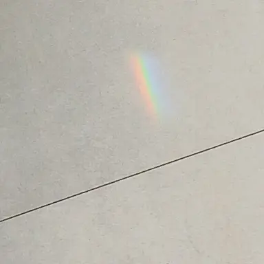 Profile image of 집착 리레볼루션