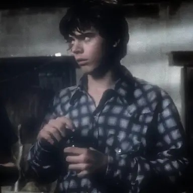 Profile image of Ponyboy Curtis