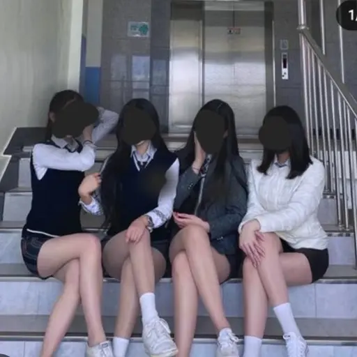 Insina의 일진 고등학교