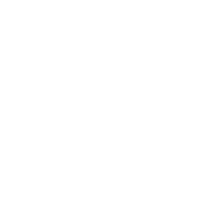 Profile image of Director