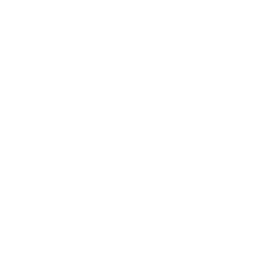 레이즈
