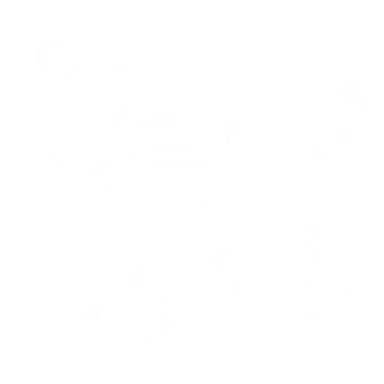 Profile image of 게코