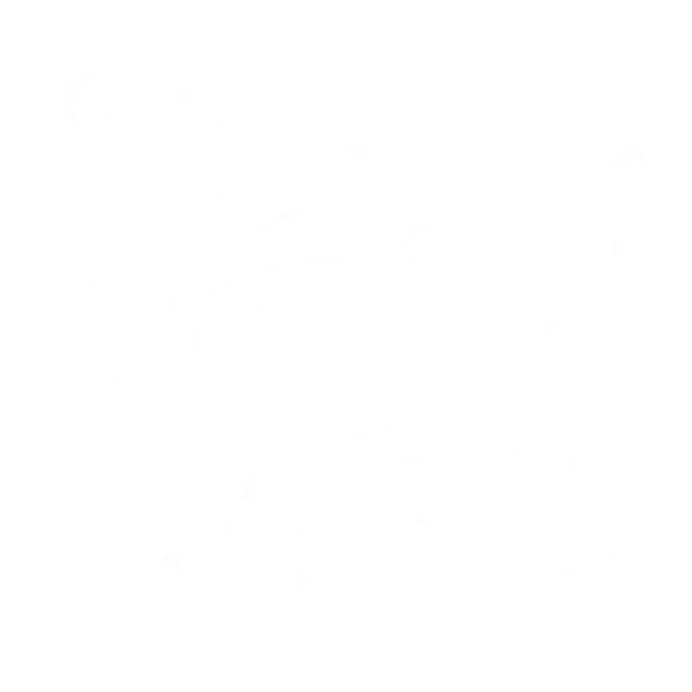 게코