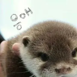 Hi0183의 웅애 이거 해조요