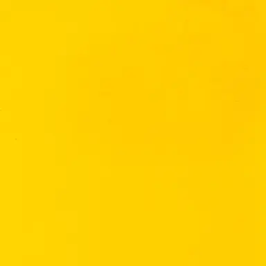 Profile image of シャオロン