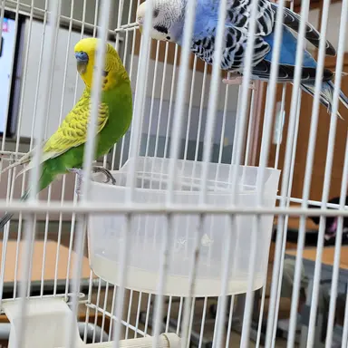 Profile image of 선생님