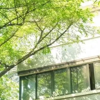 Profile image of 정 공룡