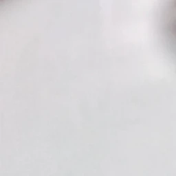 평학