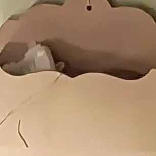 Profile image of 뜰팁 학교일수도