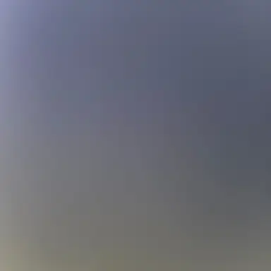 Profile image of Bob