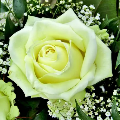 Profile image of 정형준