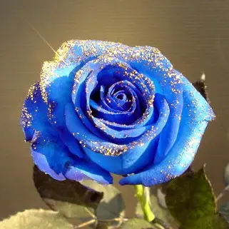 Profile image of 잠뜰