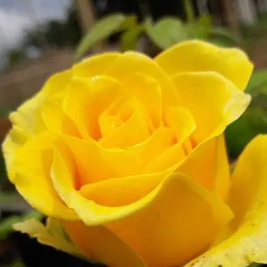 Profile image of 각별