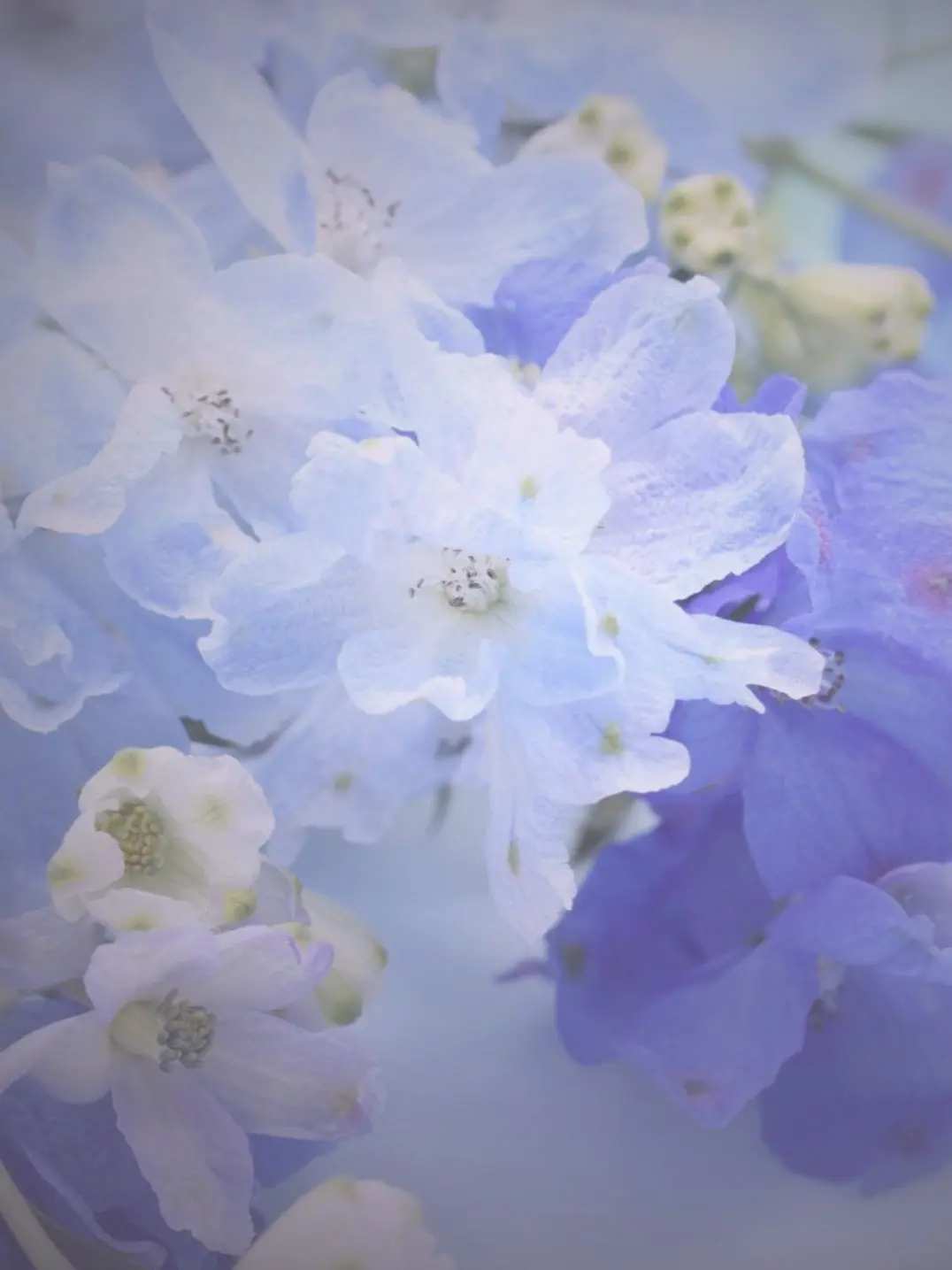 sutella0202의 ドアの先には誰かが──？