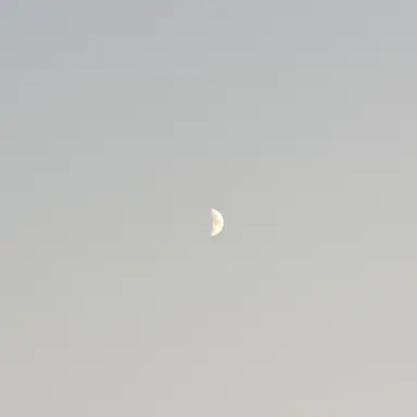 Profile image of 김건우