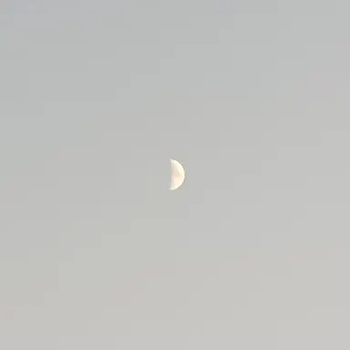 Profile image of 이리오