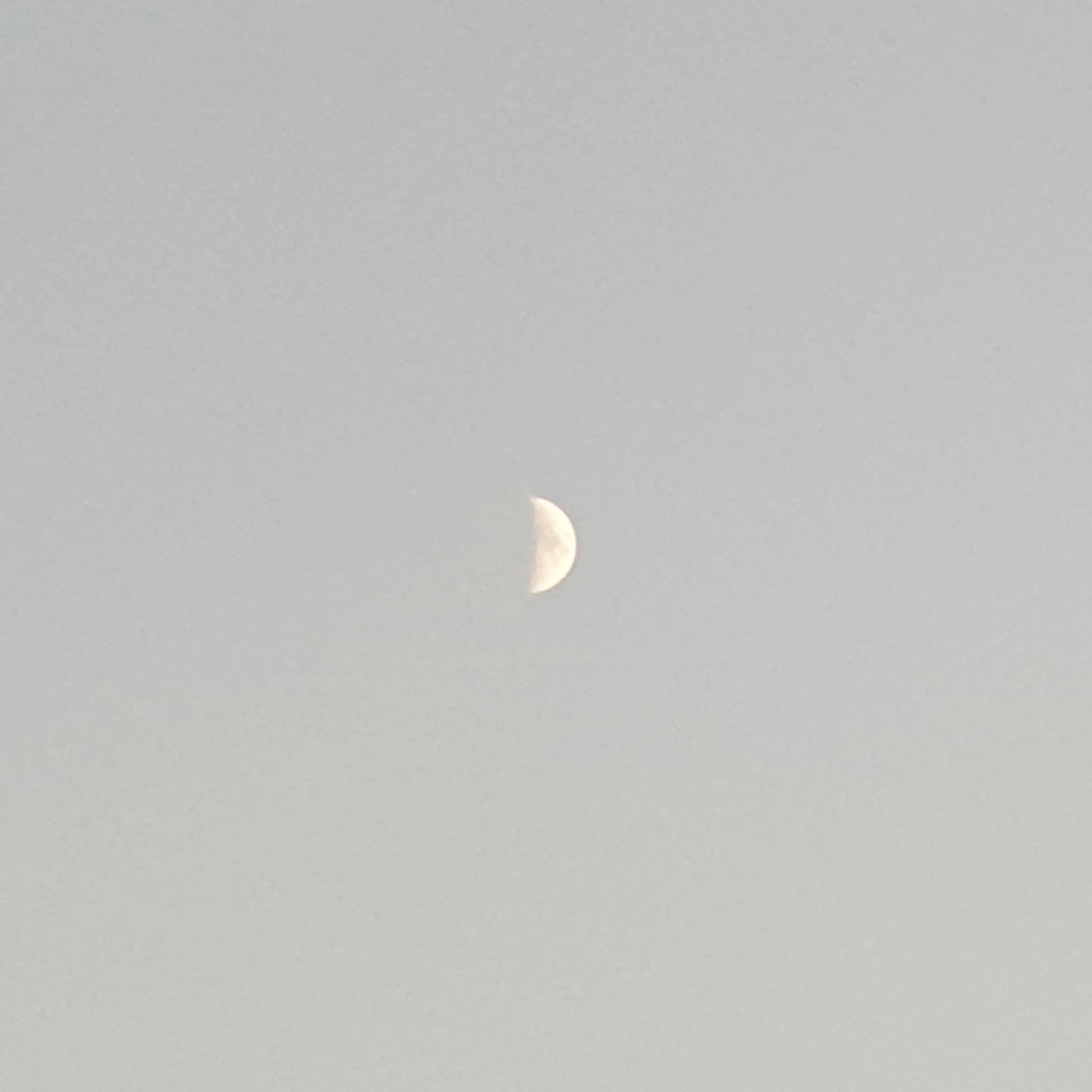 이리오