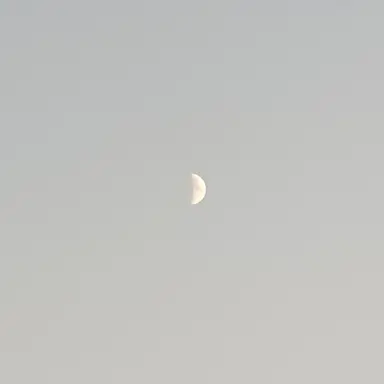 Profile image of 장지아하오