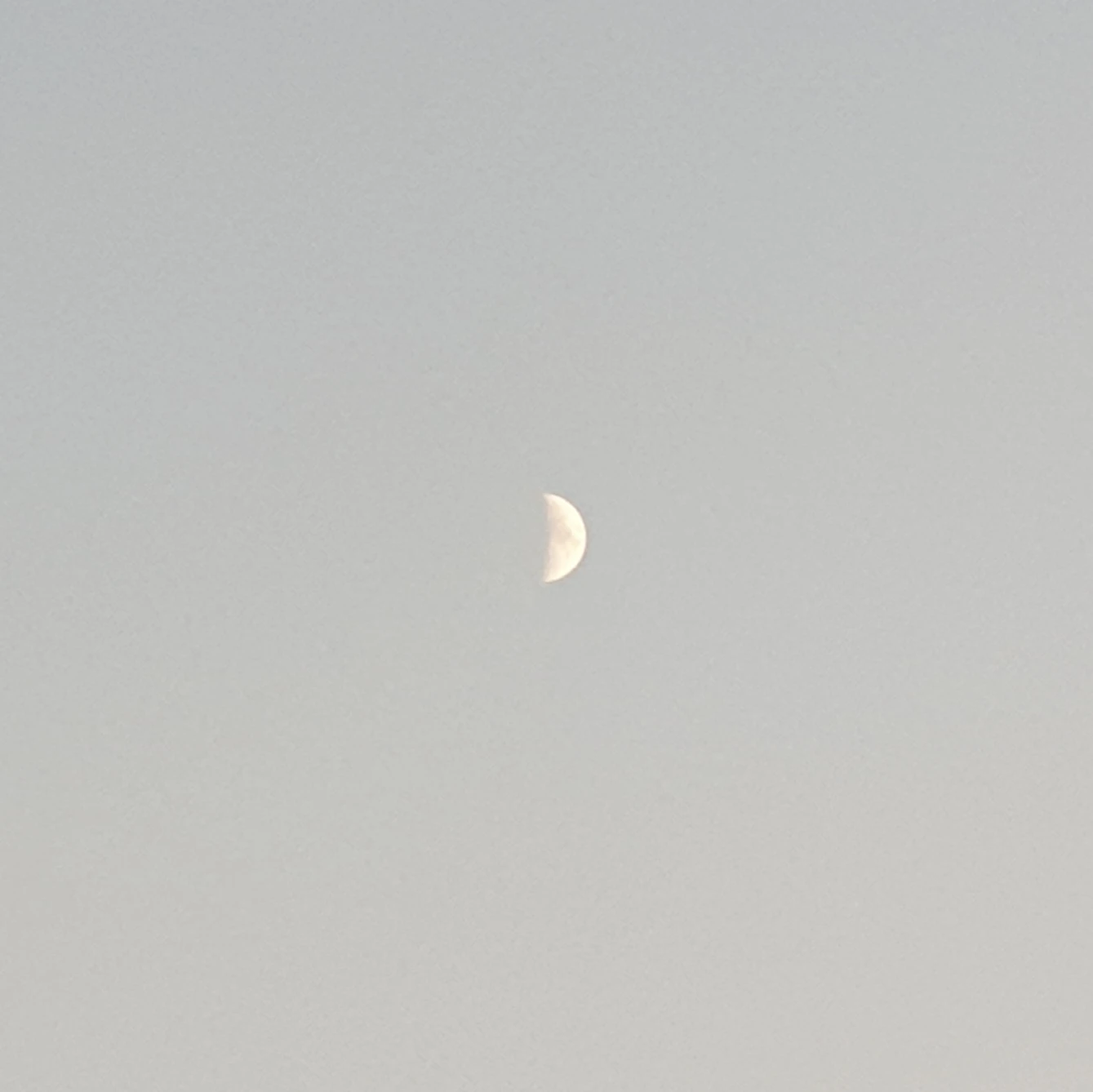 장지아하오
