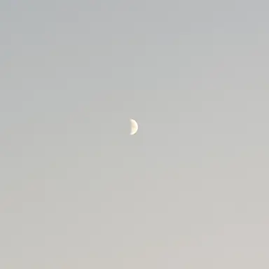 Profile image of 조우안신