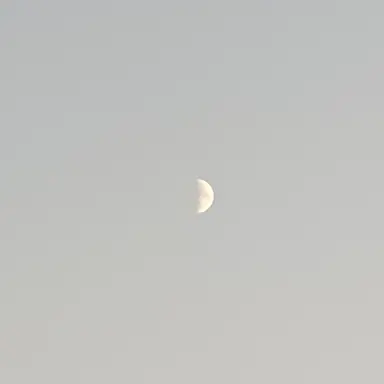 Profile image of 이상원