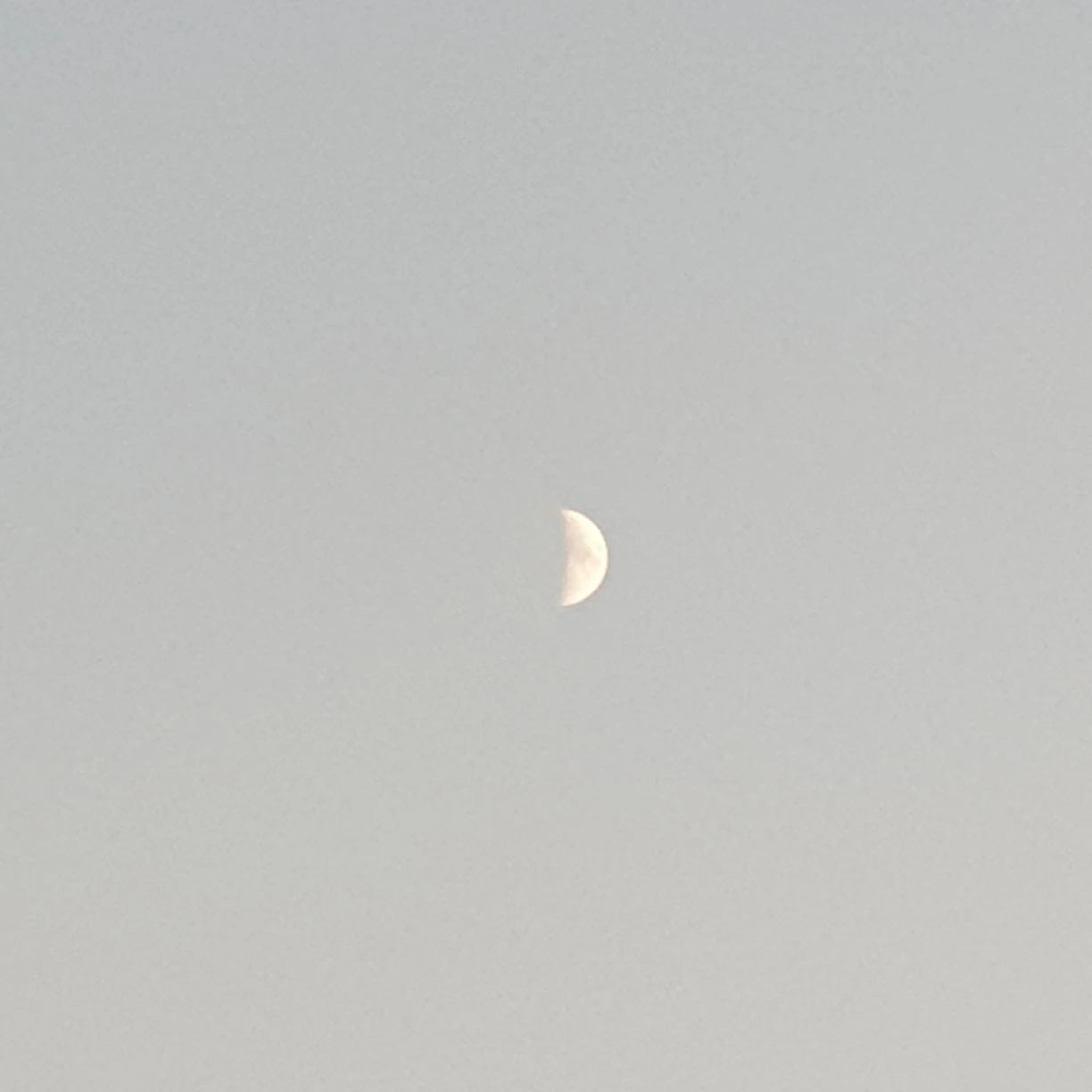 이상원