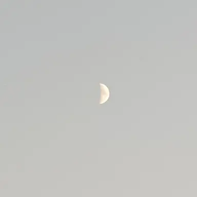 Profile image of 정상현