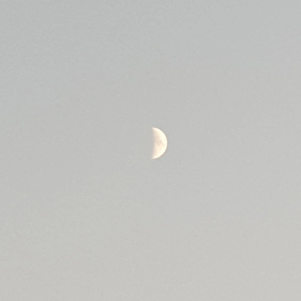 정상현