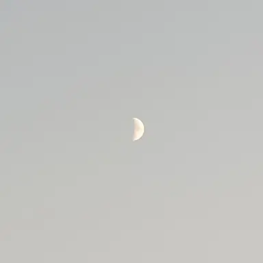 Profile image of 허씬롱